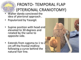 FRONTO- TEMPORAL FLAP
(PTERIONAL CRANIOTOMY)
• Walter dandy concieved the
idea of pterional approach .
• Popularized by Yasargil.
• Supine position with head end
elevated to 30 degrees and
rotated by the same to
opposite side.
• Extends from zygoma to 1 to 2
cm off the frontal midline
following a curve behind the
natural hair line.
 