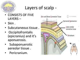Layers of scalp -
• CONSISTS OF FIVE
LAYERS –
• Skin .
• Subcutaneous tissue .
• Occipitofrontalis
(epicranius) and it’s
aponuerosis.
• Subaponuerotic
aereolar tissue .
• Pericranium.
 