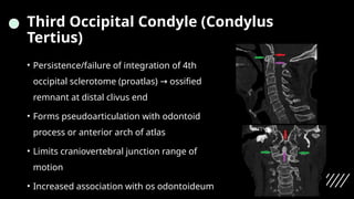 Cranioverteberal junction anamolies final.pptx