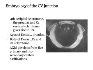 Embryology of the CV junction
4th occipital sclerotome,
the proatlas and C1
cervical sclerotome
gives rise to C1.
 Apex of Dense… proatlas.
 Body of Dense…C1 and
C2 sclerotome.
 AXIS develops from five
primary and two
secondary centers
ossifications.
 