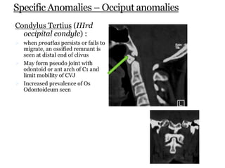 Specific Anomalies – Occiput anomalies
Condylus Tertius (IIIrd
occipital condyle) :
 when proatlas persists or fails to
migrate, an ossified remnant is
seen at distal end of clivus
 May form pseudo joint with
odontoid or ant arch of C1 and
limit mobility of CVJ
 Increased prevalence of Os
Odontoideum seen
 