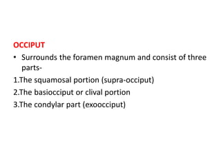 OCCIPUT
• Surrounds the foramen magnum and consist of three
parts-
1.The squamosal portion (supra-occiput)
2.The basiocciput or clival portion
3.The condylar part (exoocciput)
 