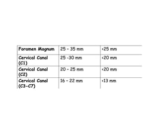 Craniovertebral junction