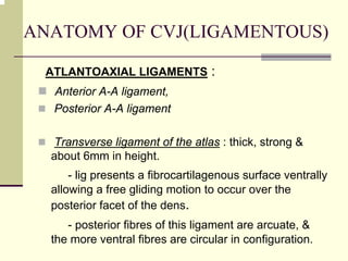 ANATOMY OF CVJ(LIGAMENTOUS)
ATLANTOAXIAL LIGAMENTS :
Anterior A-A ligament,
Posterior A-A ligament
Transverse ligament of the atlas : thick, strong &
about 6mm in height.
- lig presents a fibrocartilagenous surface ventrally
allowing a free gliding motion to occur over the
posterior facet of the dens.
- posterior fibres of this ligament are arcuate, &
the more ventral fibres are circular in configuration.
 