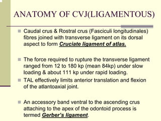 ANATOMY OF CVJ(LIGAMENTOUS)
Caudal crus & Rostral crus (Fasciculi longitudinales)
fibres joined with transverse ligament on its dorsal
aspect to form Cruciate ligament of atlas.
The force required to rupture the transverse ligament
ranged from 12 to 180 kp (mean 84kp) under slow
loading & about 111 kp under rapid loading.
TAL effectively limits anterior translation and flexion
of the atlantoaxial joint.
An accessory band ventral to the ascending crus
attaching to the apex of the odontoid process is
termed Gerber’s ligament.
 