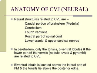 ANATOMY OF CVJ (NEURAL)
Neural structures related to CVJ are –
Caudal portion of brainstem (Medulla)
Cerebellum
Fourth ventricle
Rostral part of spinal cord
Lower cranial & upper cervical nerves
In cerebellum, only the tonsils, biventral lobules & the
lower part of the vermis (nodule, uvula & pyramid)
are related to CVJ.
Biventral lobule is located above the lateral part of
FM & the tonsils lie above the posterior edge.
 
