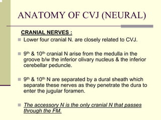 ANATOMY OF CVJ (NEURAL)
CRANIAL NERVES :
Lower four cranial N. are closely related to CVJ.
9th & 10th cranial N arise from the medulla in the
groove b/w the inferior olivary nucleus & the inferior
cerebellar peduncle.
9th & 10th N are separated by a dural sheath which
separate these nerves as they penetrate the dura to
enter the jugular foramen.
The accessory N is the only cranial N that passes
through the FM.
 