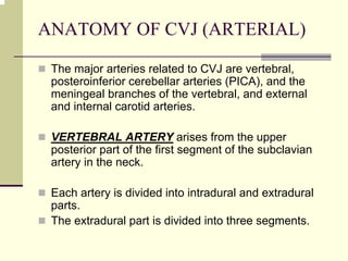 ANATOMY OF CVJ (ARTERIAL)
The major arteries related to CVJ are vertebral,
posteroinferior cerebellar arteries (PICA), and the
meningeal branches of the vertebral, and external
and internal carotid arteries.
VERTEBRAL ARTERY arises from the upper
posterior part of the first segment of the subclavian
artery in the neck.
Each artery is divided into intradural and extradural
parts.
The extradural part is divided into three segments.
 