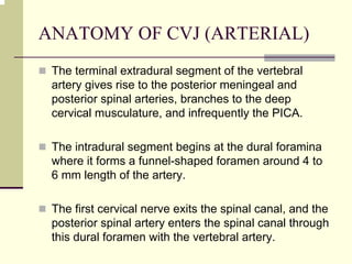 ANATOMY OF CVJ (ARTERIAL)
The terminal extradural segment of the vertebral
artery gives rise to the posterior meningeal and
posterior spinal arteries, branches to the deep
cervical musculature, and infrequently the PICA.
The intradural segment begins at the dural foramina
where it forms a funnel-shaped foramen around 4 to
6 mm length of the artery.
The first cervical nerve exits the spinal canal, and the
posterior spinal artery enters the spinal canal through
this dural foramen with the vertebral artery.
 