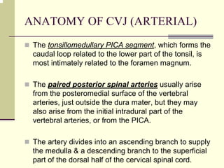 ANATOMY OF CVJ (ARTERIAL)
The tonsillomedullary PICA segment, which forms the
caudal loop related to the lower part of the tonsil, is
most intimately related to the foramen magnum.
The paired posterior spinal arteries usually arise
from the posteromedial surface of the vertebral
arteries, just outside the dura mater, but they may
also arise from the initial intradural part of the
vertebral arteries, or from the PICA.
The artery divides into an ascending branch to supply
the medulla & a descending branch to the superficial
part of the dorsal half of the cervical spinal cord.
 