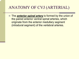ANATOMY OF CVJ (ARTERIAL)
The anterior spinal artery is formed by the union of
the paired anterior ventral spinal arteries, which
originate from the anterior medullary segment
(intradural segment) of the vertebral arteries.
 