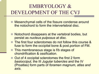 EMBRYOLOGY &
DEVELOPMENT OF THE CVJ
Mesenchymal cells of the fissure condense around
the notochord to form the intervertebral disc.
Notochord disappears at the vertebral bodies, but
persist as nucleus pulposus at disc.
The first four sclerotomes do not follow this course &
fuse to form the occipital bone & post.portion of FM.
This membraneous stage is f/b stages of
chondrification & ossification.
Out of 4 occipital sclerotomes the first 2 form
basiocciput, the III Jugular tubercles and the IV
(Proatlas) form parts of foramen magnum, atlas and
axis.
 