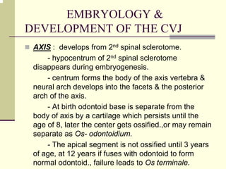 EMBRYOLOGY &
DEVELOPMENT OF THE CVJ
AXIS : develops from 2nd spinal sclerotome.
- hypocentrum of 2nd spinal sclerotome
disappears during embryogenesis.
- centrum forms the body of the axis vertebra &
neural arch develops into the facets & the posterior
arch of the axis.
- At birth odontoid base is separate from the
body of axis by a cartilage which persists until the
age of 8, later the center gets ossified.,or may remain
separate as Os- odontoidium.
- The apical segment is not ossified until 3 years
of age, at 12 years if fuses with odontoid to form
normal odontoid., failure leads to Os terminale.
 