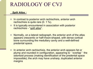 RADIOLOGY OF CVJ
Split Atlas :
In contrast to posterior arch rachischisis, anterior arch
rachischisis is quite rare (0. 1 %).
It is typically encountered in association with posterior
rachischisis - “split atlas”.
Normally, on a lateral radiograph, the anterior arch of the atlas
appears crescentic or half-moon-shaped, with dense cortical
bone surrounding the medullary cavity and a well-defined
predental space.
In anterior arch rachischisis, the anterior arch appears fat or
plump and rounded in configuration, appearing to ‘ ‘overlap’ ‘ the
odontoid process (making identification of the predental space
impossible); the arch may have unsharp, duplicated anterior
margins
 