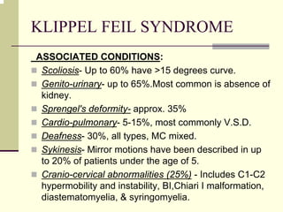 KLIPPEL FEIL SYNDROME
ASSOCIATED CONDITIONS:
Scoliosis- Up to 60% have >15 degrees curve.
Genito-urinary- up to 65%.Most common is absence of
kidney.
Sprengel's deformity- approx. 35%
Cardio-pulmonary- 5-15%, most commonly V.S.D.
Deafness- 30%, all types, MC mixed.
Sykinesis- Mirror motions have been described in up
to 20% of patients under the age of 5.
Cranio-cervical abnormalities (25%) - Includes C1-C2
hypermobility and instability, BI,Chiari I malformation,
diastematomyelia, & syringomyelia.
 