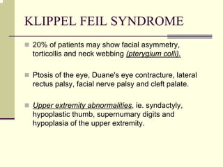 KLIPPEL FEIL SYNDROME
20% of patients may show facial asymmetry,
torticollis and neck webbing (pterygium colli).
Ptosis of the eye, Duane's eye contracture, lateral
rectus palsy, facial nerve palsy and cleft palate.
Upper extremity abnormalities, ie. syndactyly,
hypoplastic thumb, supernumary digits and
hypoplasia of the upper extremity.
 