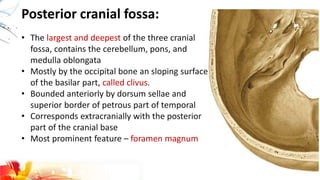 Posterior cranial fossa:
• The largest and deepest of the three cranial
fossa, contains the cerebellum, pons, and
medulla oblongata
• Mostly by the occipital bone an sloping surface
of the basilar part, called clivus.
• Bounded anteriorly by dorsum sellae and
superior border of petrous part of temporal
• Corresponds extracranially with the posterior
part of the cranial base
• Most prominent feature – foramen magnum
 