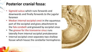 Posterior cranial fossa:
• Sigmoid sulcus which runs forwards and
downwards and finally forwards to the jugular
foramen
• Median internal occipital crest in the squamous
part of the occipital and gives attachment to
the falx cerebelli and grooved by occipital sinus
• The groove for the transverse sinus runs
laterally from internal occipital protuberance
• Internal occipital crest separates two shallow
fossae which house the cerebellar hemispheres
 