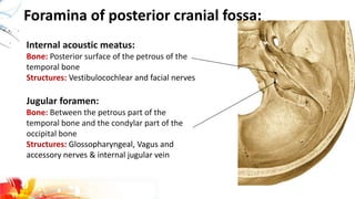 Foramina of posterior cranial fossa:
Jugular foramen:
Bone: Between the petrous part of the
temporal bone and the condylar part of the
occipital bone
Structures: Glossopharyngeal, Vagus and
accessory nerves & internal jugular vein
Internal acoustic meatus:
Bone: Posterior surface of the petrous of the
temporal bone
Structures: Vestibulocochlear and facial nerves
 
