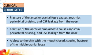 • Fracture of the anterior cranial fossa causes anosmia,
periorbital bruising, and CSF leakage from the nose
• Fracture of the anterior cranial fossa causes anosmia,
periorbital bruising, and CSF leakage from the nose
• A blow to the chin with the mouth closed, causing fracture
of the middle cranial fossa
 