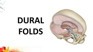 DURAL
FOLDS
 
