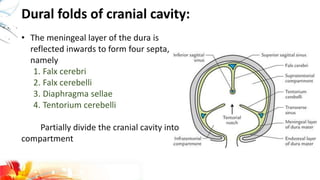 Dural folds of cranial cavity:
• The meningeal layer of the dura is
reflected inwards to form four septa,
namely
1. Falx cerebri
2. Falx cerebelli
3. Diaphragma sellae
4. Tentorium cerebelli
Partially divide the cranial cavity into
compartment
 