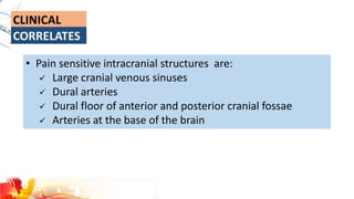 • Pain sensitive intracranial structures are:
 Large cranial venous sinuses
 Dural arteries
 Dural floor of anterior and posterior cranial fossae
 Arteries at the base of the brain
 