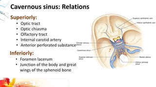 Cavernous sinus: Relations
Superiorly:
• Optic tract
• Optic chiasma
• Olfactory tract
• Internal carotid artery
• Anterior perforated substance
Inferiorly:
• Foramen lacerum
• Junction of the body and greater
wings of the sphenoid bone
 