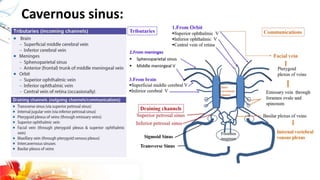 Cavernous sinus:
 