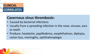 Cavernous sinus thrombosis:
• Caused by bacterial infections
• Usually from a spreading infection in the nose, sinuses, ears
or teeth
• Produce: headache, papilledema, exophthalmos, diplopia,
vision loss, meningitis, ophthalmoplegia
 