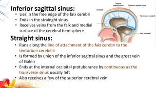 Inferior sagittal sinus:
• Lies in the free edge of the falx cerebri
• Ends in the strainght sinus
• Receives veins from the falx and medial
surface of the cerebral hemisphere
Straight sinus:
• Runs along the line of attachment of the falx cerebri to the
tentorium cerebelli
• Is formed by union of the inferior sagittal sinus and the great vein
of Galen
• Ends at the internal occipital protuberance by continuous as the
transverse sinus usually left
• Also receives a few of the superior cerebral vein
 