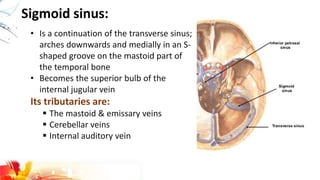 Sigmoid sinus:
• Is a continuation of the transverse sinus;
arches downwards and medially in an S-
shaped groove on the mastoid part of
the temporal bone
• Becomes the superior bulb of the
internal jugular vein
Its tributaries are:
 The mastoid & emissary veins
 Cerebellar veins
 Internal auditory vein
 