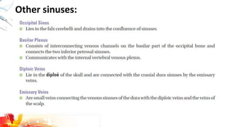 Other sinuses:
 