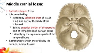 Middle cranial fossa:
• Butterfly shaped fossa
• It is bounded by:
* In front by sphenoid crest of lesser
wing and part of the body of the
sphenoid
* Behind superior border of the petrous
part of temporal bone dorsum sellae
* Laterally by the squamous parts of the
temporal bone
• Communicates with the orbits by the
superior orbital fissures
 