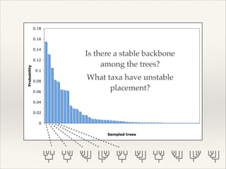 0
0.02
0.04
0.06
0.08
0.1
0.12
0.14
0.16
0.18
1 3 5 7 9 11 13 15 17 19 21 23 25 27 29 31 33 35 37 39 41 43 45 47 49
Sampled trees
Probability
Number of times
sampled ∝ probability
Is there a stable backbone
among the trees?!
What taxa have unstable
placement?
 