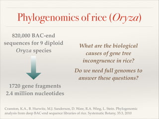 Phylogenomics of rice (Oryza)
820,000 BAC-end
sequences for 9 diploid
Oryza species
1720 gene fragments!
2.4 million nucleotides
Cranston, K.A., B. Hurwitz, M.J. Sanderson, D. Ware, R.A. Wing, L. Stein. Phylogenomic
analysis from deep BAC-end sequence libraries of rice. Systematic Botany, 35:3, 2010
What are the biological
causes of gene tree
incongruence in rice?!
Do we need full genomes to
answer these questions?
 