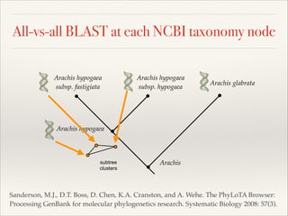 All-vs-all BLAST at each NCBI taxonomy node
Sanderson, M.J., D.T. Boss, D. Chen, K.A. Cranston, and A. Wehe. The PhyLoTA Browser:
Processing GenBank for molecular phylogenetics research. Systematic Biology 2008: 57(3).
Arachis hypogaea
Arachis hypogaea
subsp. fastigiata
Arachis hypogaea
subsp. hypogaea
Arachis glabrata
subtree
clusters
Arachis
 