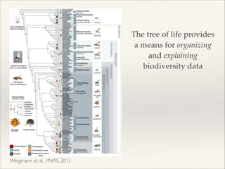 The tree of life provides
a means for organizing
and explaining
biodiversity data
Weigmann et al. PNAS, 2011
 