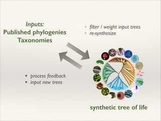 Inputs:
Published phylogenies
Taxonomies
• ﬁlter / weight input trees	

• re-synthesize
• process feedback 	

• input new trees
synthetic tree of life
 