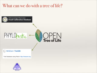 Leaf
Tree of Life
OPEN
What can we do with a tree of life?
 