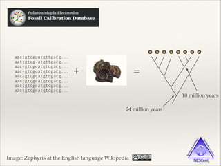 aactgtcgcatgttgacg...
aattgtcg-atgttgacg...
aac-gtcgcatgtcgacg...
aac-gtcgcatgtcgacg...
aac-gtcgcatgtcgacg...
aactgtcgcatgtcgacg...
aactgtcgcatgtcgacg...
aactgtcgcatgtcgacg...
+ =
Image: Zephyris at the English language Wikipedia
10 million years
24 million years
 