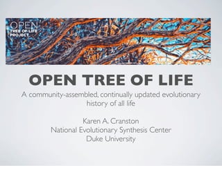 OPEN TREE OF LIFE
A community-assembled, continually updated evolutionary
                  history of all life

                   Karen A. Cranston
         National Evolutionary Synthesis Center
                    Duke University
 