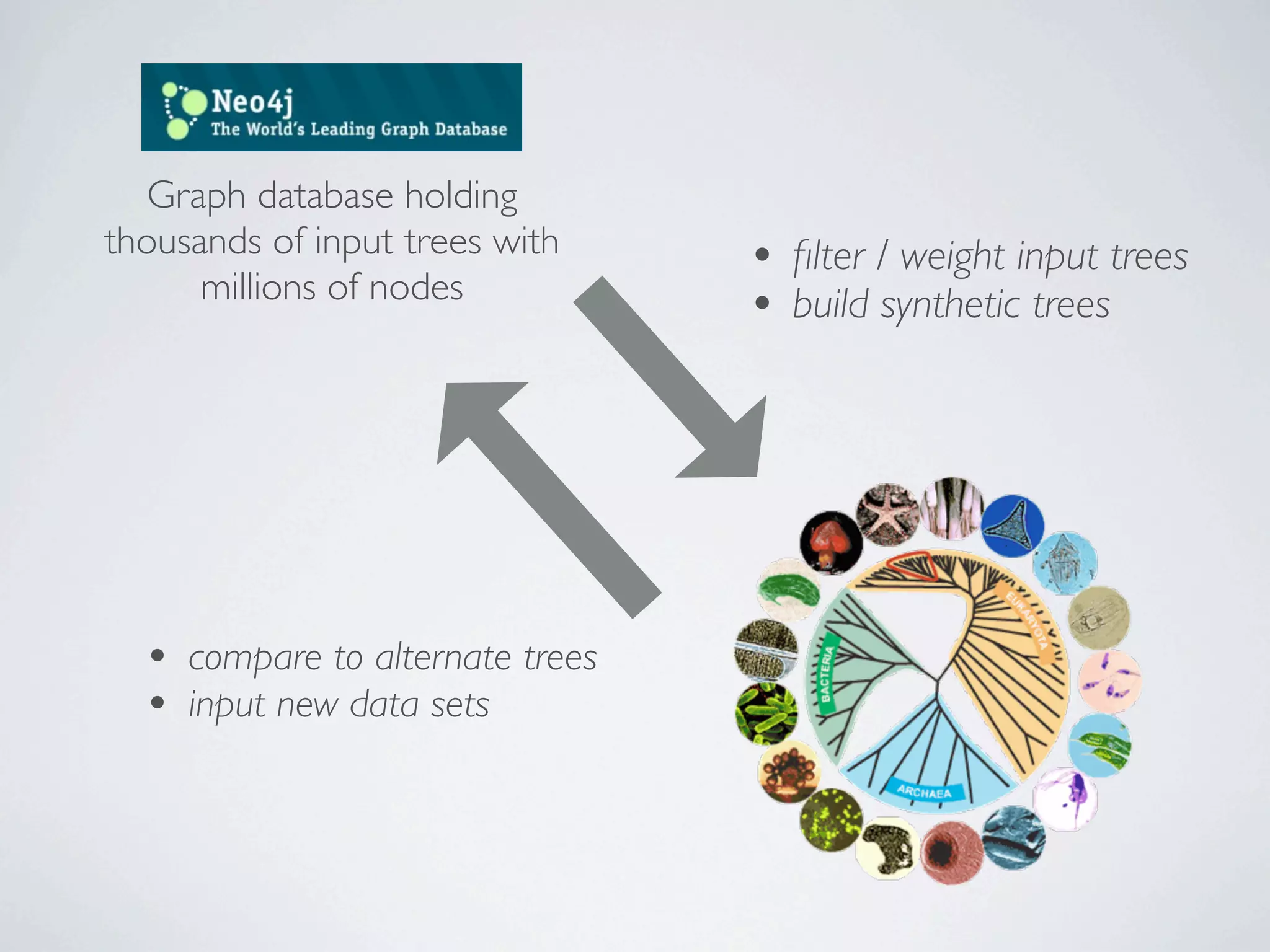 Graph database holding
thousands of input trees with    • ﬁlter / weight input trees
      millions of nodes
                                 • build synthetic trees




  • compare to alternate trees
  • input new data sets
 
