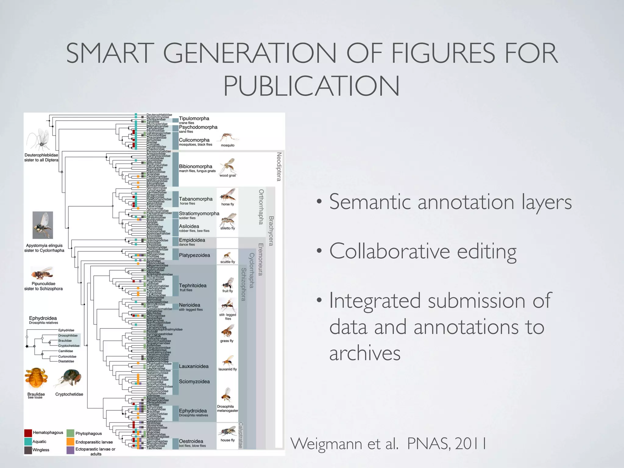SMART GENERATION OF FIGURES FOR
                                         PUBLICATION


                                                                                                                                                            • Semantic            annotation layers

                                                                                                                                                            • Collaborative           editing

                                                                                                                                                             EVOLUTION
                                                                                                                                                            • Integrated           submission of
                                                                                                                                                                         data and annotations to
                                                                                                                                                                         archives


                                                                                                                                              Weigmann et al. PNAS, 2011
ig. 1. Combined molecular phylogenetic tree for Diptera. Partitioned ML analysis of combined taxon sets of tier 1 and tier 2 FLYTREE data samples (−lnL =
 