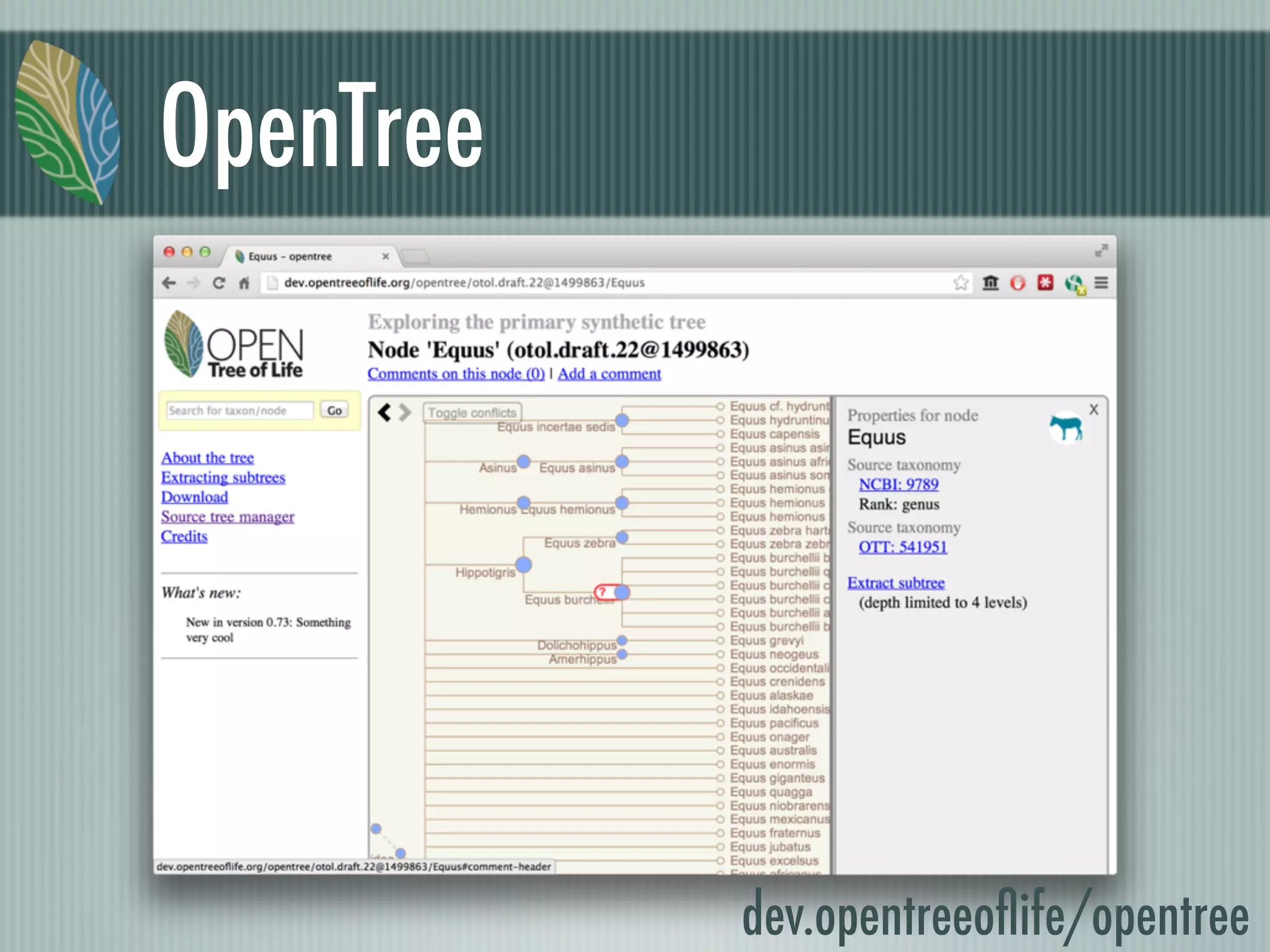OpenTree
dev.opentreeoﬂife/opentree
 