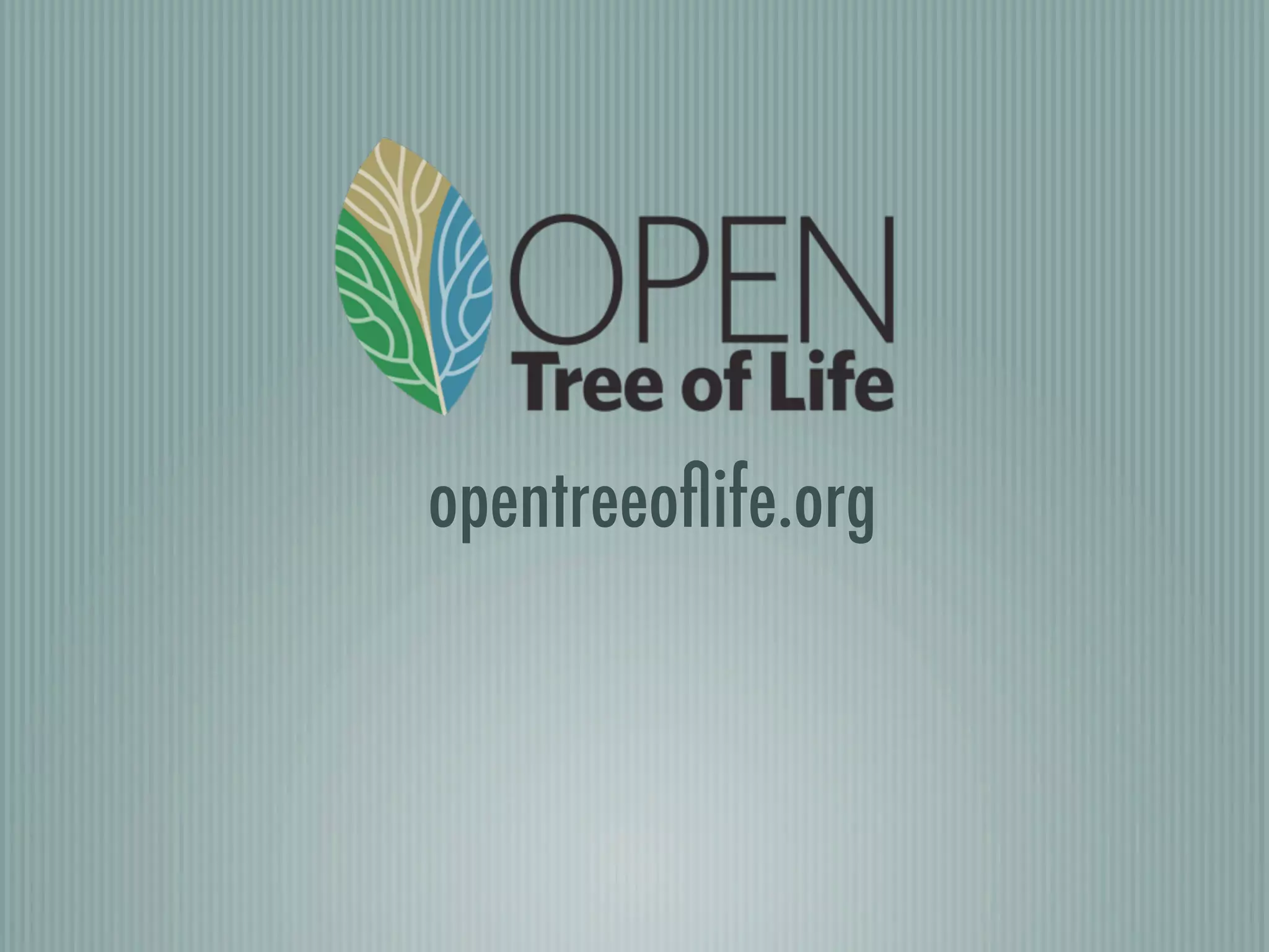 opentreeoﬂife.org
 