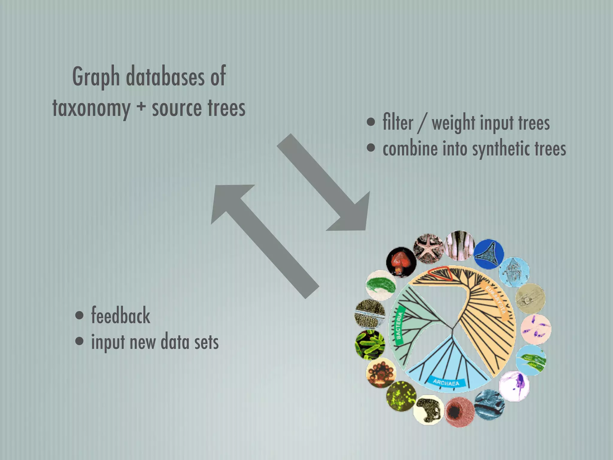Graph databases of
taxonomy + source trees
•ﬁlter / weight input trees
•combine into synthetic trees
•feedback
•input new data sets
 