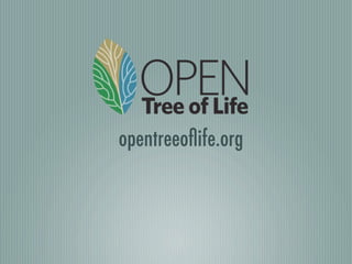opentreeoﬂife.org
 