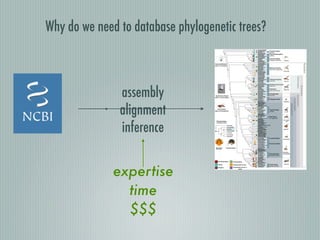 assembly
alignment
inference
expertise
time
$$$
thermore, a paraphyletic relationship of phorids and syrphids
would support the hypothesis that their shared special mode of
extraembryonic development (dorsal amnion closure) (26)
evolved in the stem lineage of Cyclorrhapha and preceded the
origin of the schizophoran amnioserosa.
To test this hypothesis, we used a relatively recent phylogenomic
marker: small, noncoding, regulatory micro-RNAs (miRNAs).
miRNAs exhibit a striking phylogenetic pattern of conservation
across the metazoan tree of life, suggesting the accumulation and
maintenance of miRNA families throughout organismal evolution
Fig. 1. Combined molecular phylogenetic tree for Diptera. Partitioned ML analysis of combined taxon sets of tier 1 and tier 2 FLYTREE data samples (−lnL =
344155.6169) calculated in RAxML. Circles indicate bootstrap support >80% (black/bp = 95–100%, gray/bp = 88–94%, white/bp = 80–88%). Nodes with im-
proved bootstrap values resulting from postanalysis pruning of unstable taxa are marked by stars (black/bp = 95–100%, gray/bp = 88–94%, white/bp = 80–
88%). Colored squares on terminal branches indicate the presence, in at least one species of a family, of ecological traits as shown to lower left. The number
of origins of each trait was estimated with reference to the phylogeny, the distribution of each trait among genera within a family, and the known biology of
the organisms.
Wiegmann et al. PNAS Early Edition | 3 of 6
Why do we need to database phylogenetic trees?
 