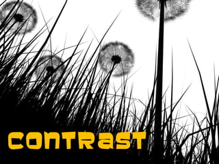 Saul Greenberg
ContrastContrast
 